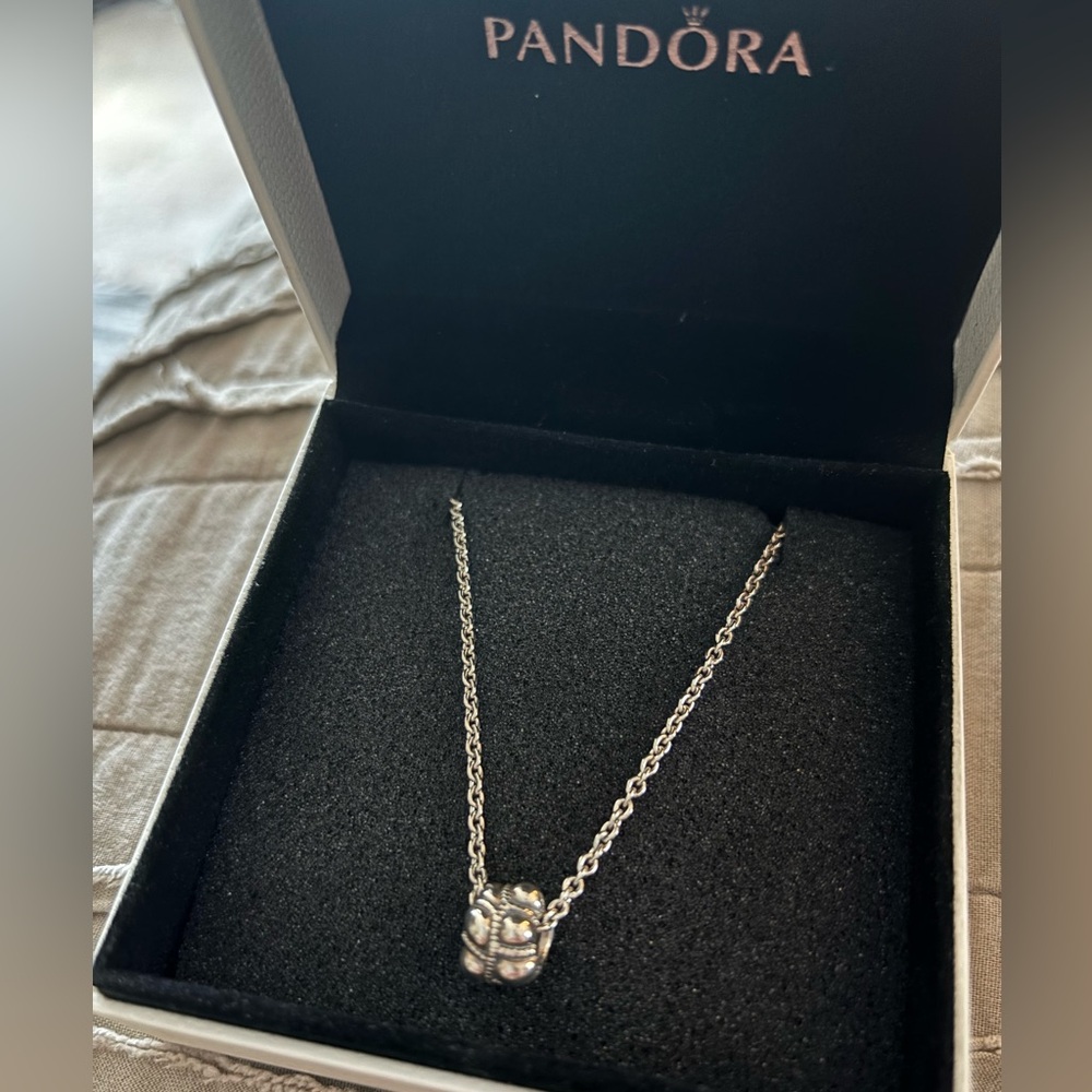 Sterling Silver Pandora cable chain necklace and charm